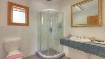 A bathroom with a glass-enclosed shower, a white toilet, a sink with a granite countertop, and a mirror with an ornate frame.