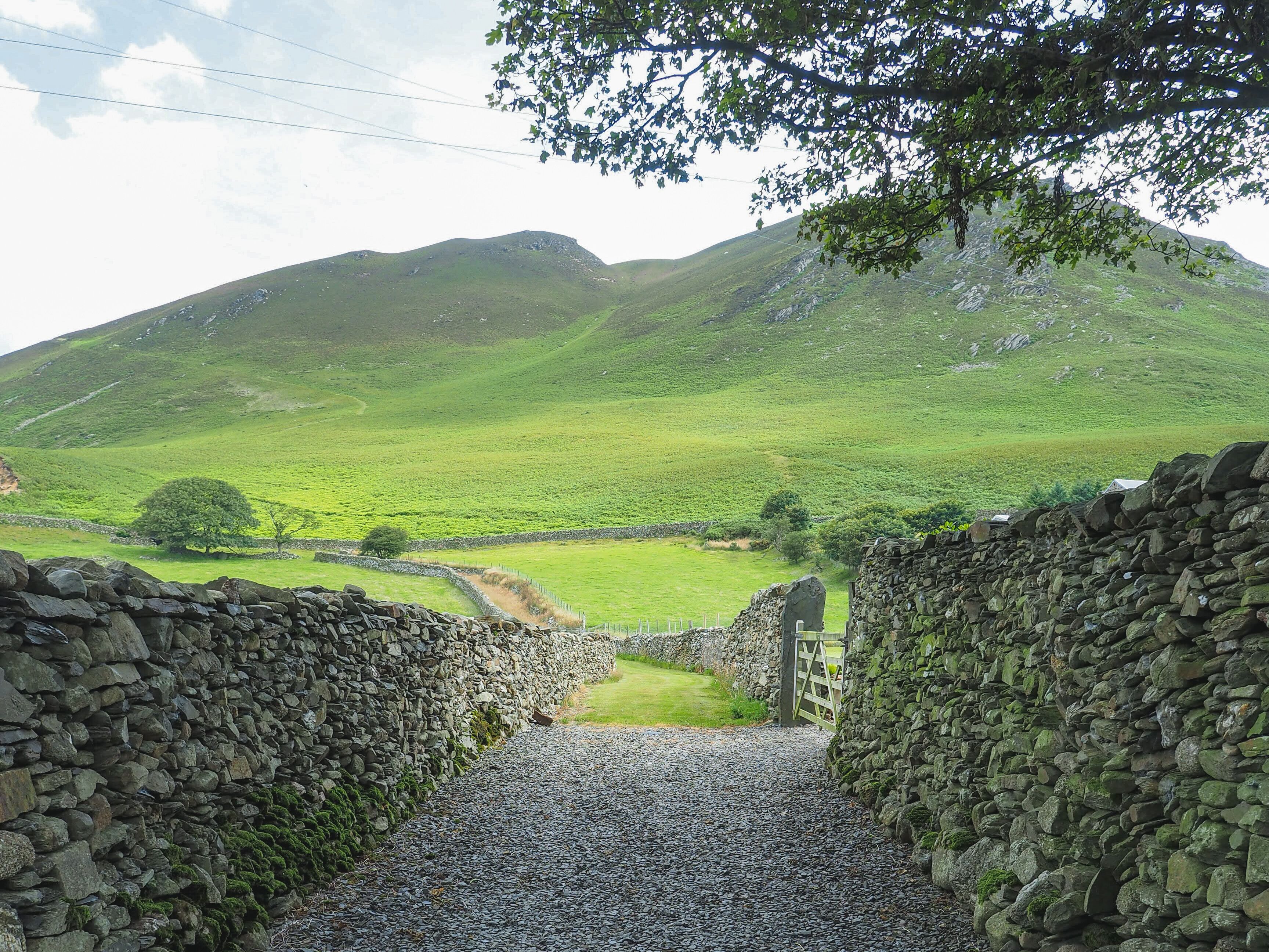 Un sendero de piedra que serpentea por un paisaje rural con colinas ondulantes y un muro de piedra a un lado.