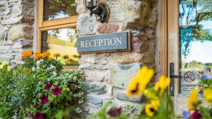 A stone building with a reception sign, a window, and a no-smoking sign. - The Wayside and Whisky Barn (Millom)