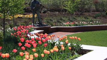 Terrein van de accommodatie