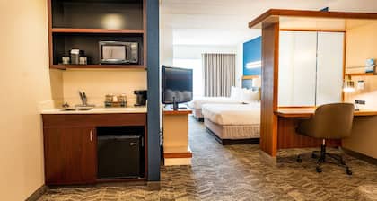 SpringHill Suites by Marriott San Antonio Alamo Plaza/Convention Center