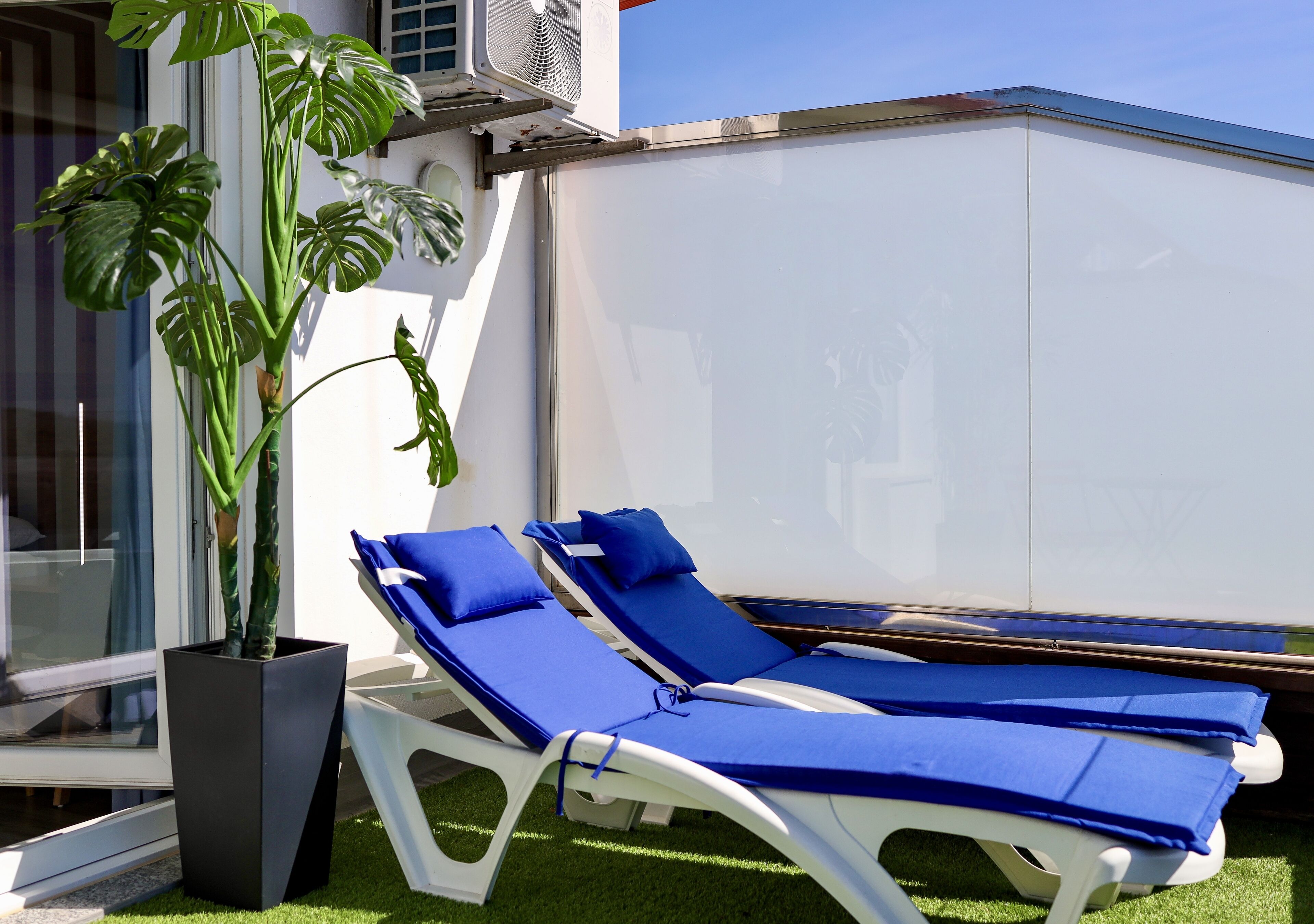 A balcony with two sun loungers, a potted plant, and a white wall.