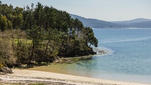 Un paisaje costero con playa arenosa, bosque denso y agua tranquila.