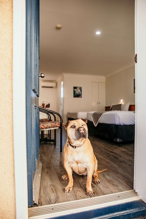 Chambre avec lits jumeaux (Pet Friendly) | Bureau, espace de travail pour ordinateur portable
