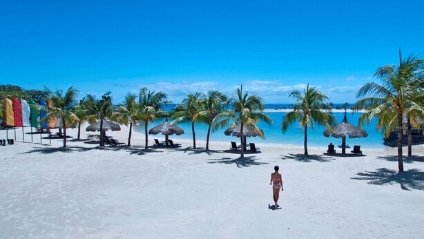 Una playa con palmeras, sillas de playa y sombrillas.
