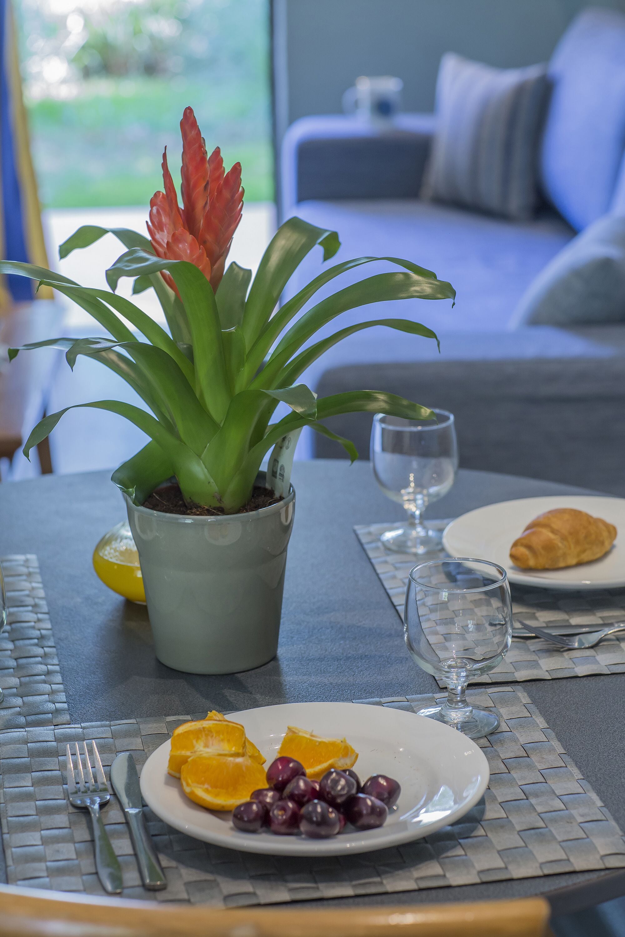 A dining table with a plate of fruit, a croissant, and a potted plant.