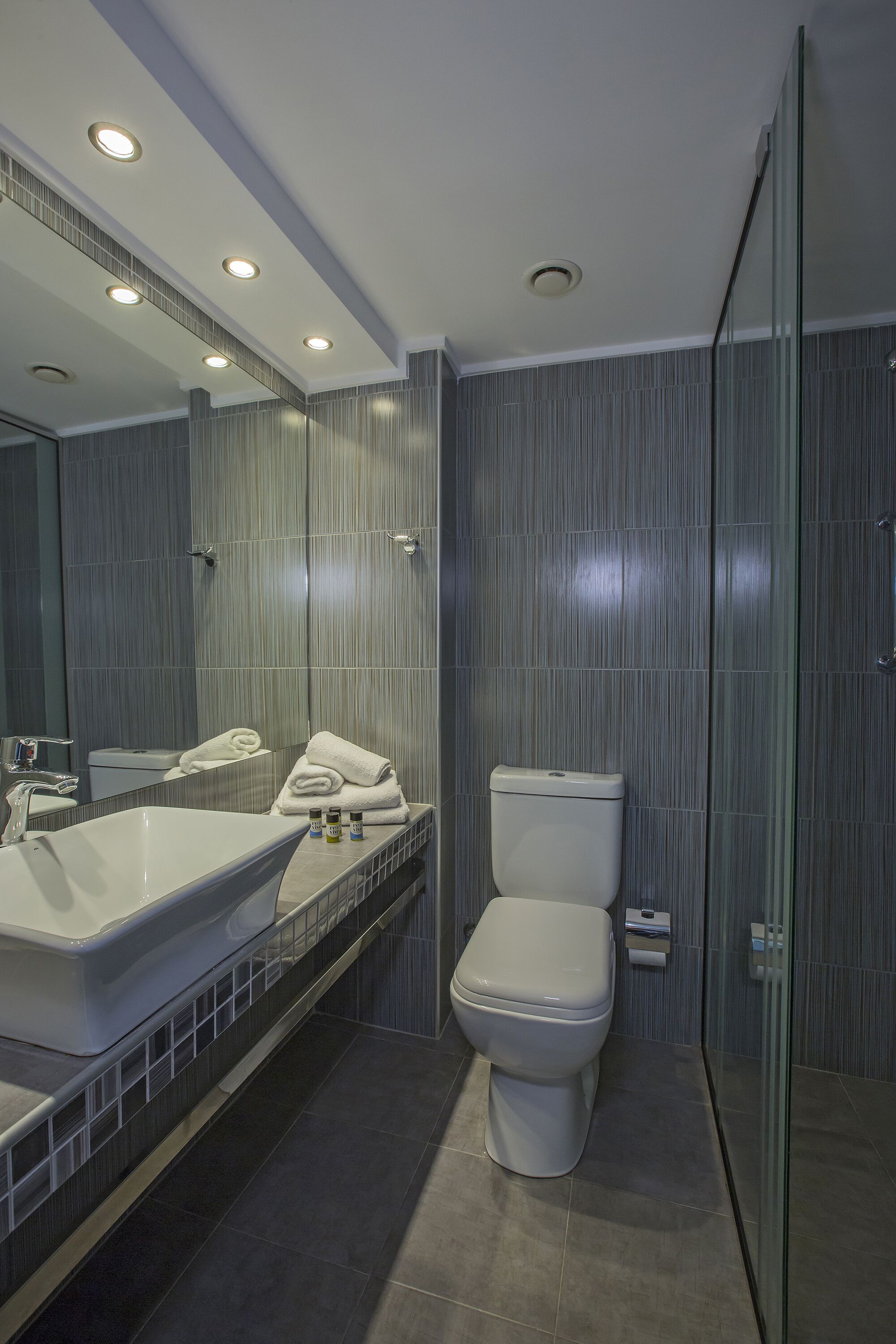 A modern bathroom with a large sink, toilet, and a glass shower enclosure.