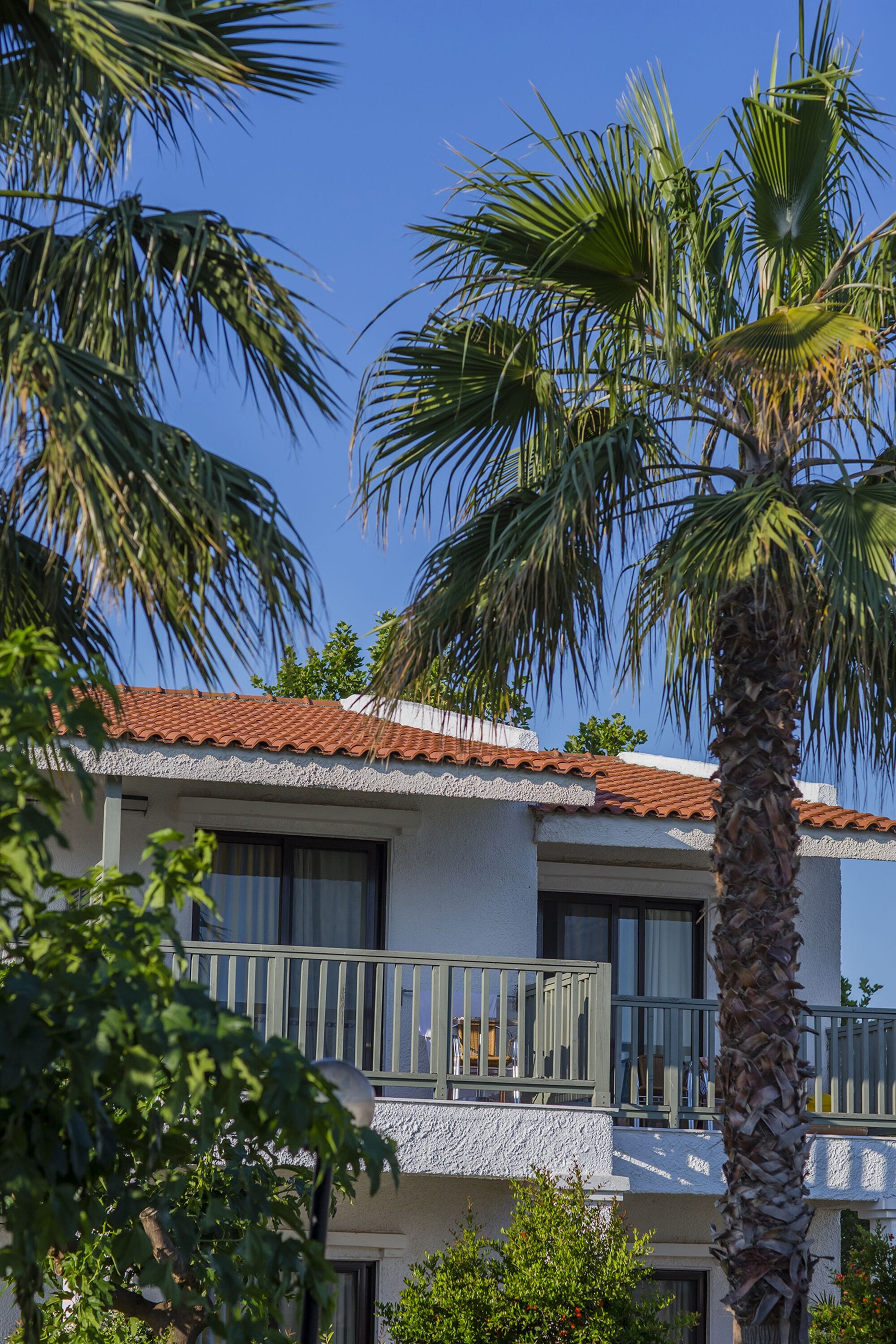 A two-story building with a balcony, surrounded by palm trees.