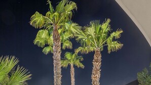 بار على حمام السباحة
