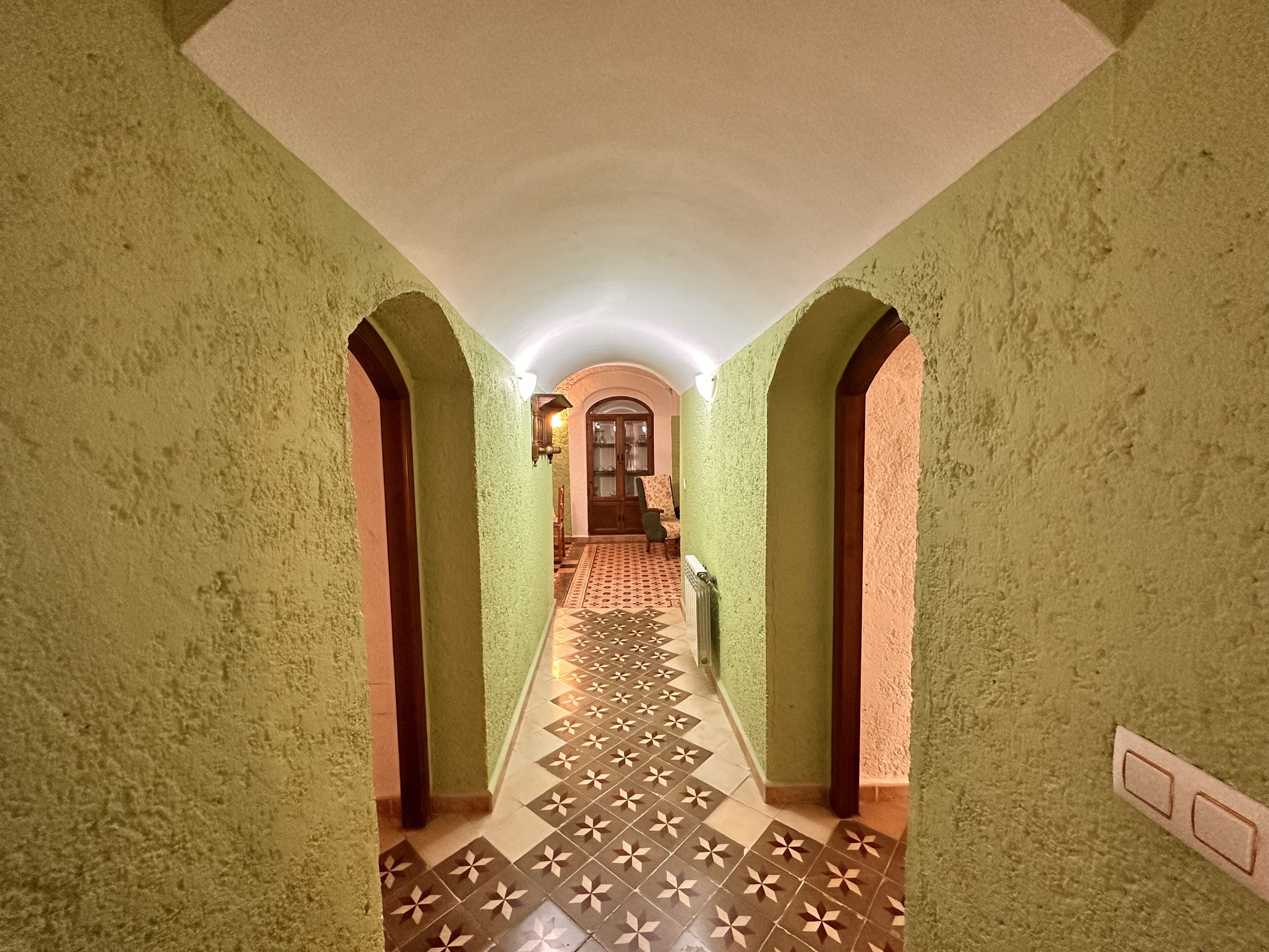 A hallway with green walls, a patterned tile floor, and a wooden door at the end.
