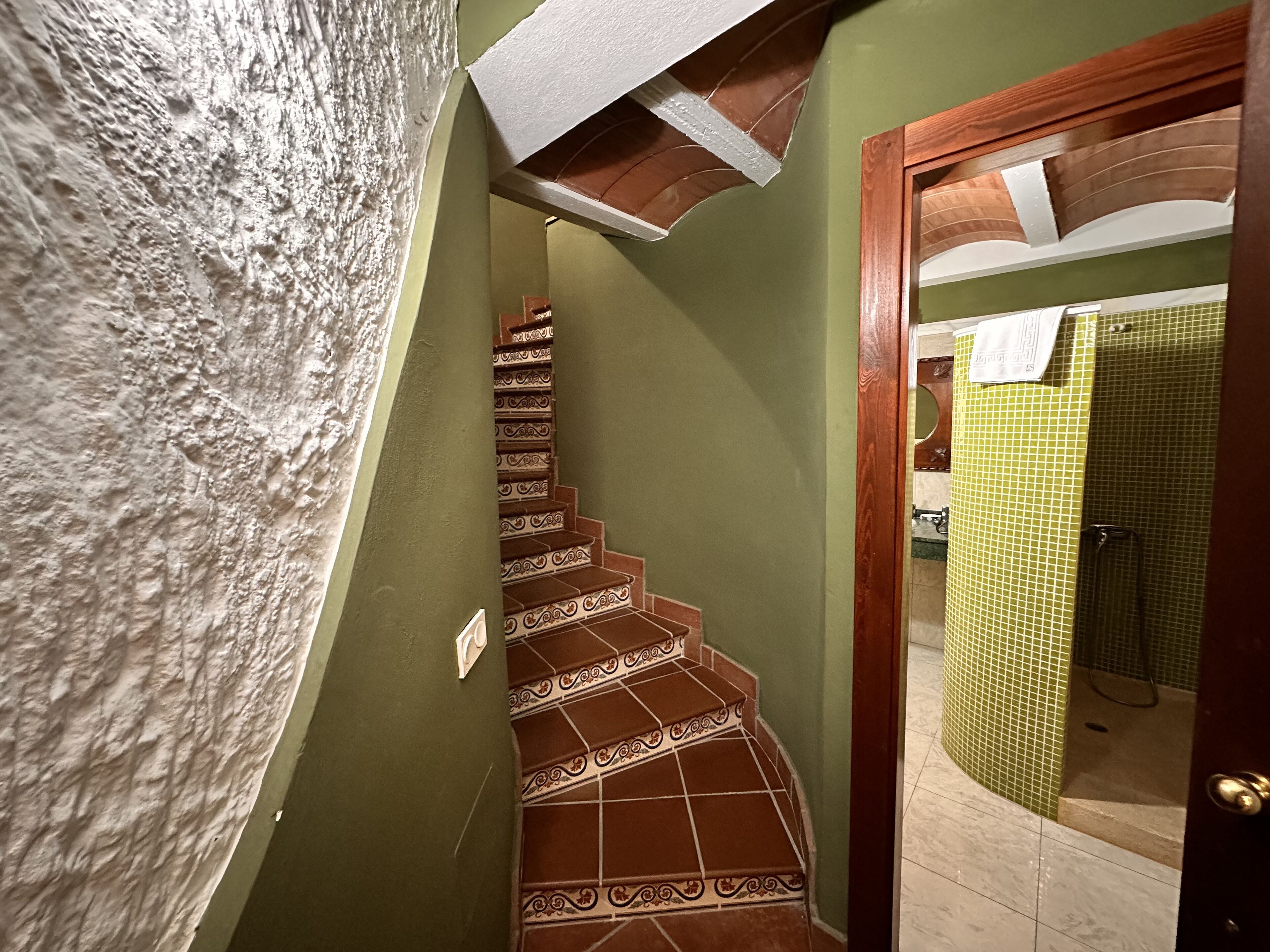 Un escalier recouvert de carreaux décorés mène à une pièce aux murs verts et à une porte en bois.