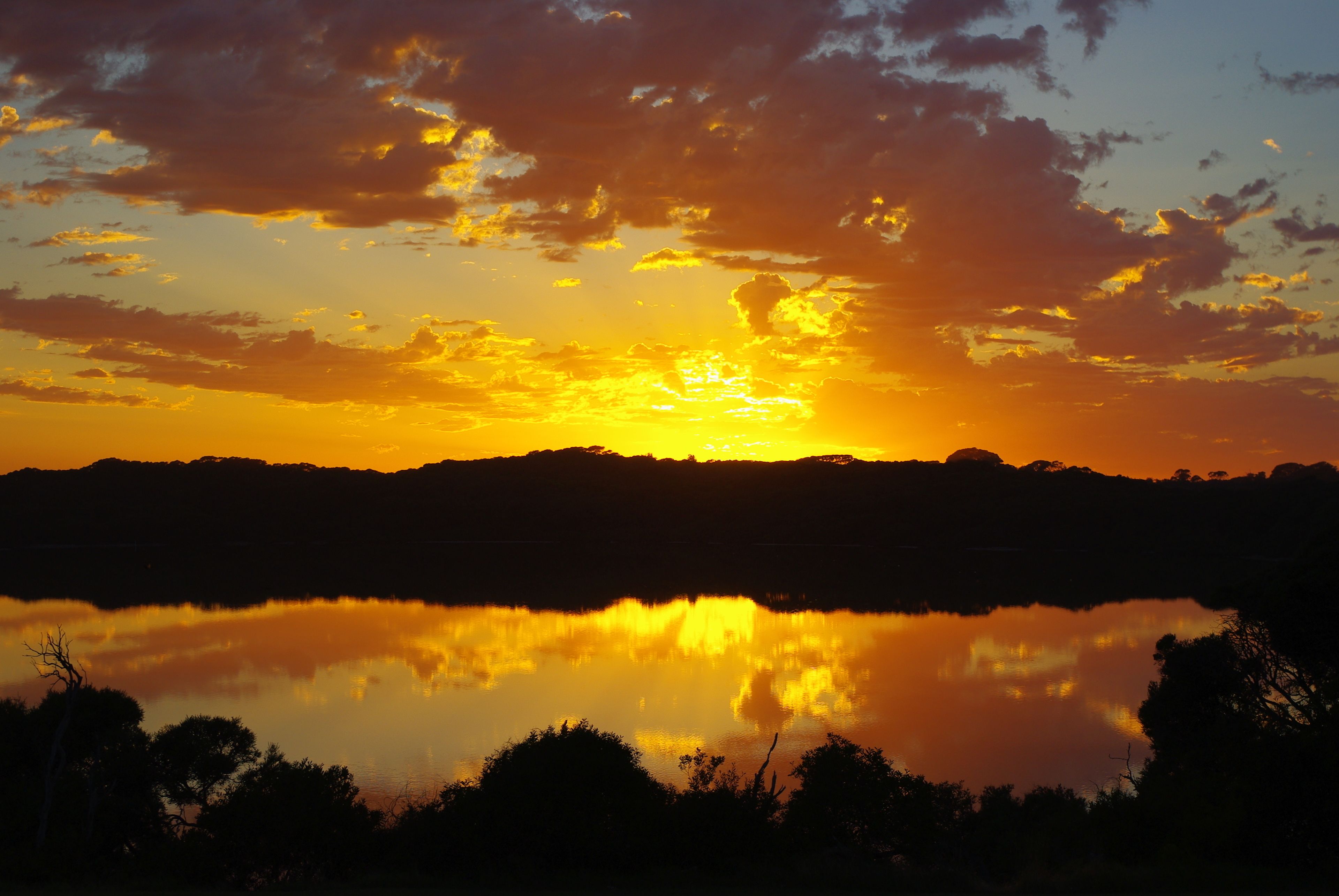 Lake view