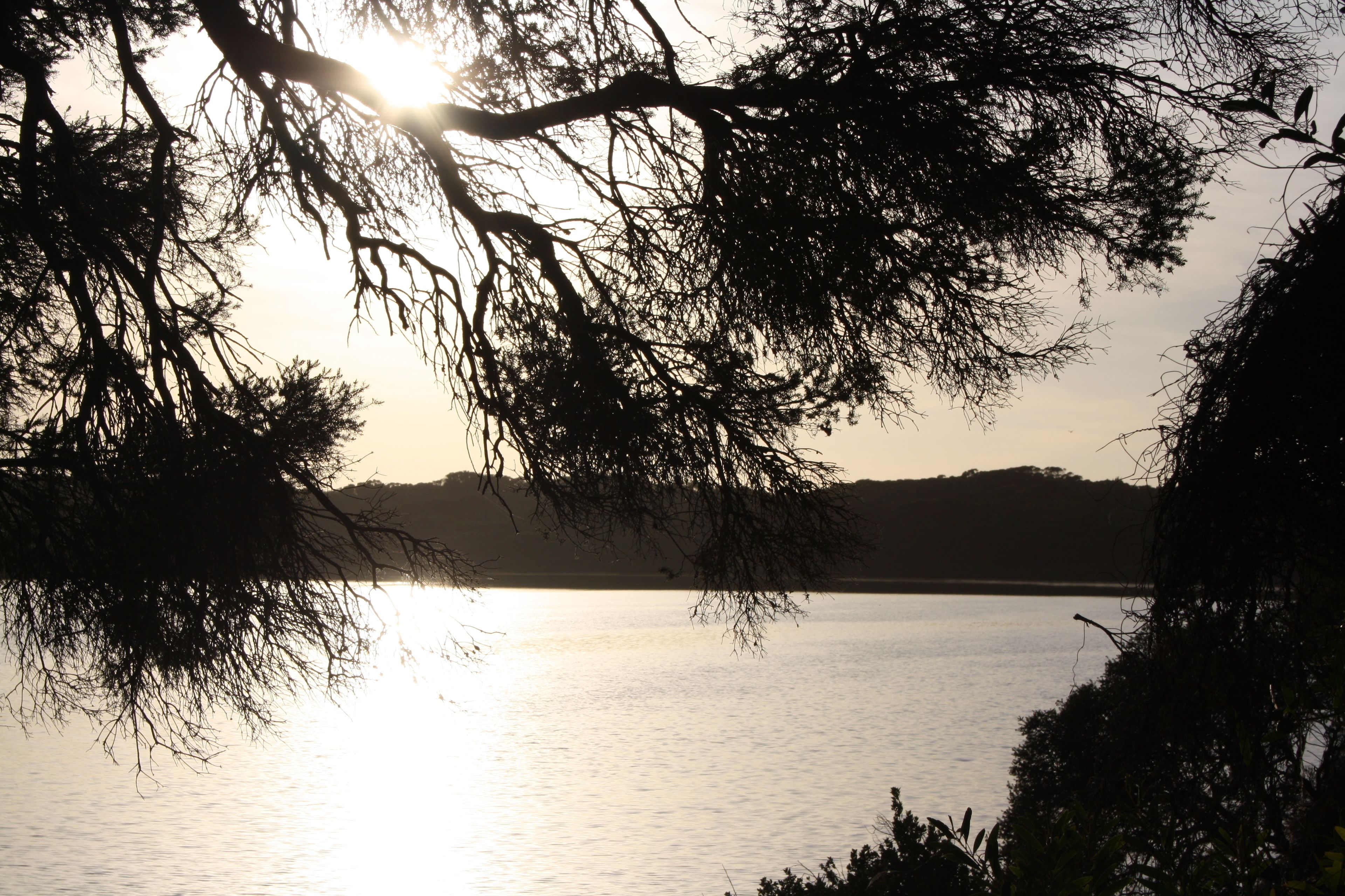 Vista al agua
