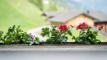 A row of potted geraniums with a blurred background of a house and mountains.