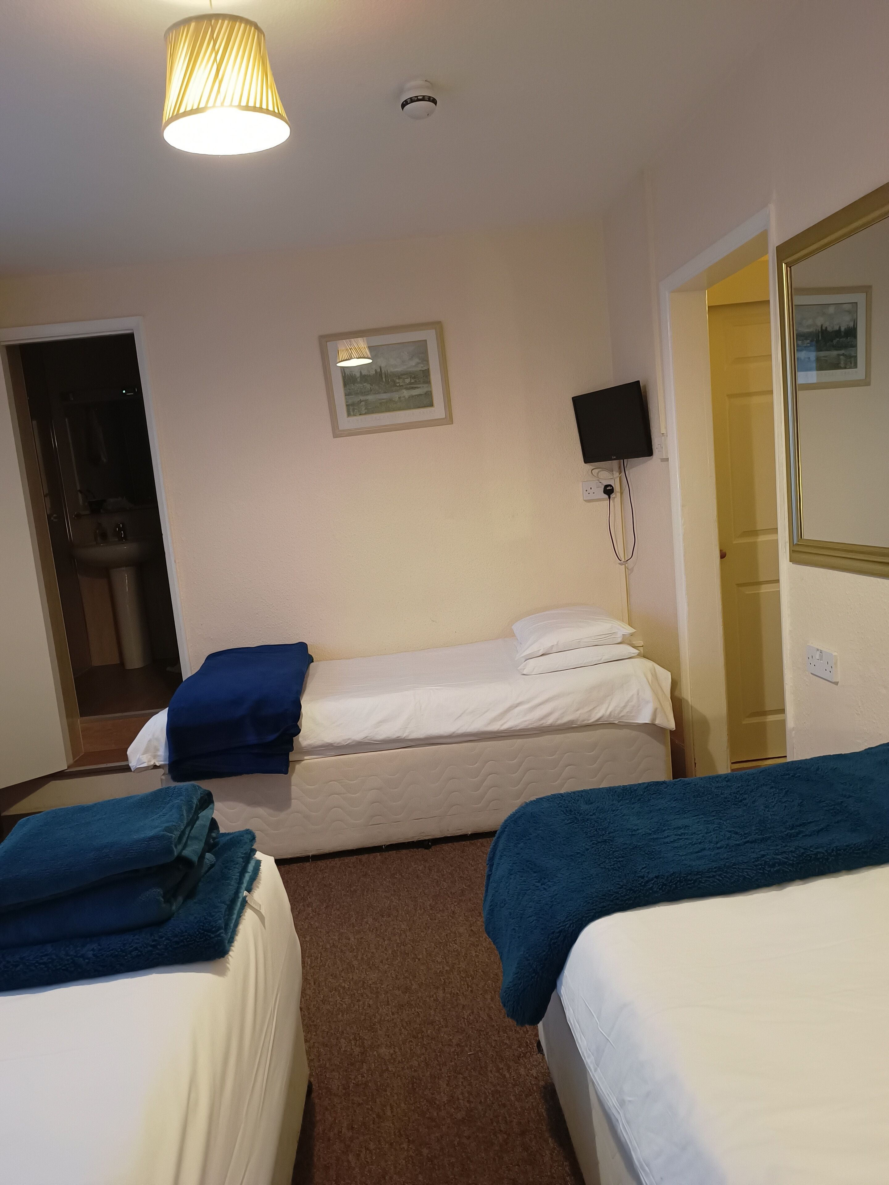 A hotel room with two beds, a ceiling lamp, a framed picture on the wall, and a television.
