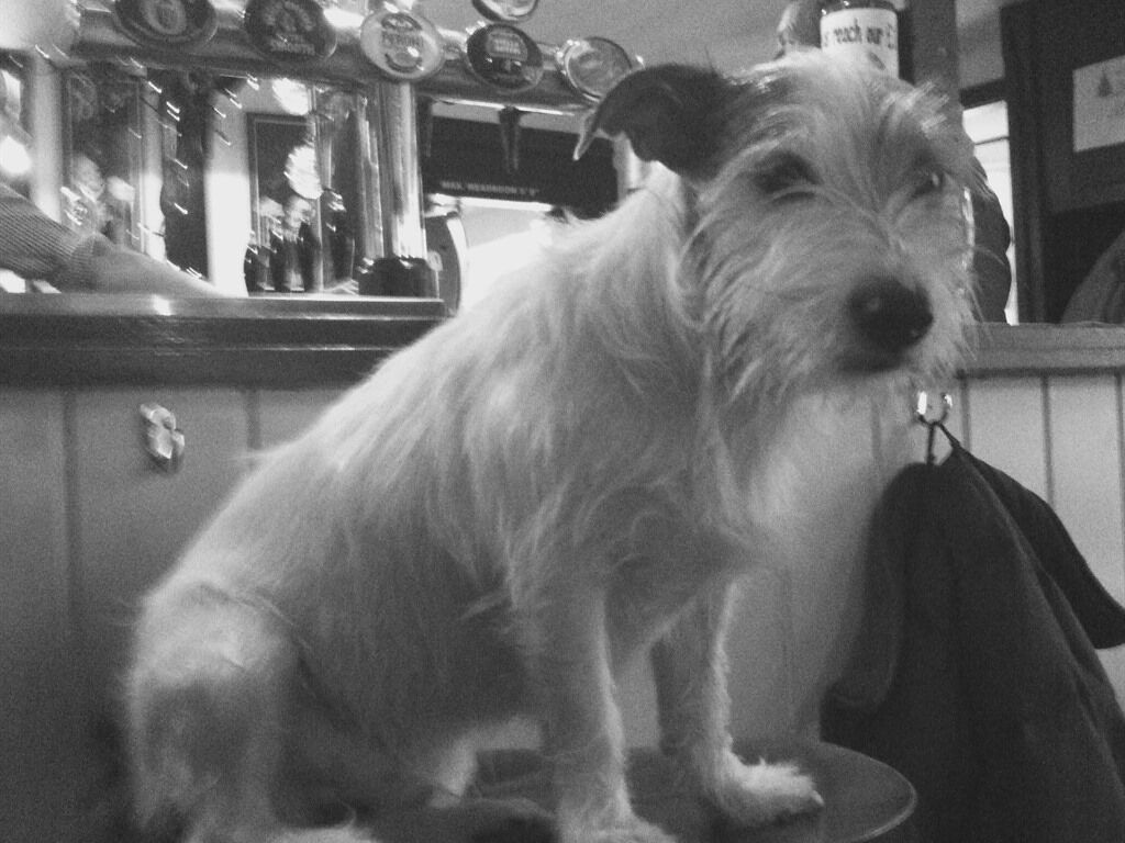 Foto - The White Hart