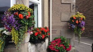 A building with a stone facade, a hanging flower basket with red and purple flowers, and a sign that reads "VACANCIES". - Rosebank Guest House (Perth)