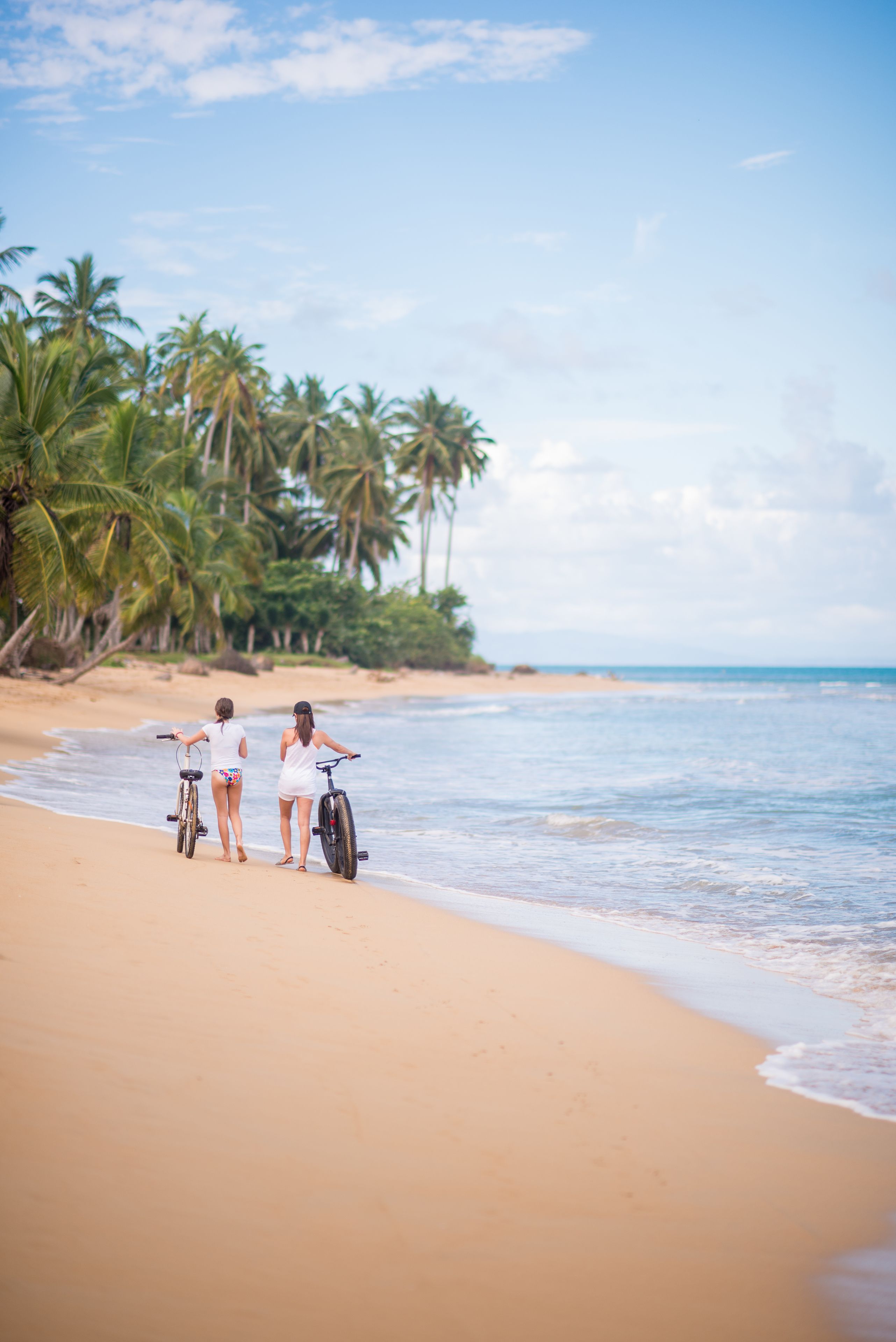 A beach with two people standing by a bicycle, palm trees, and the ocean.
