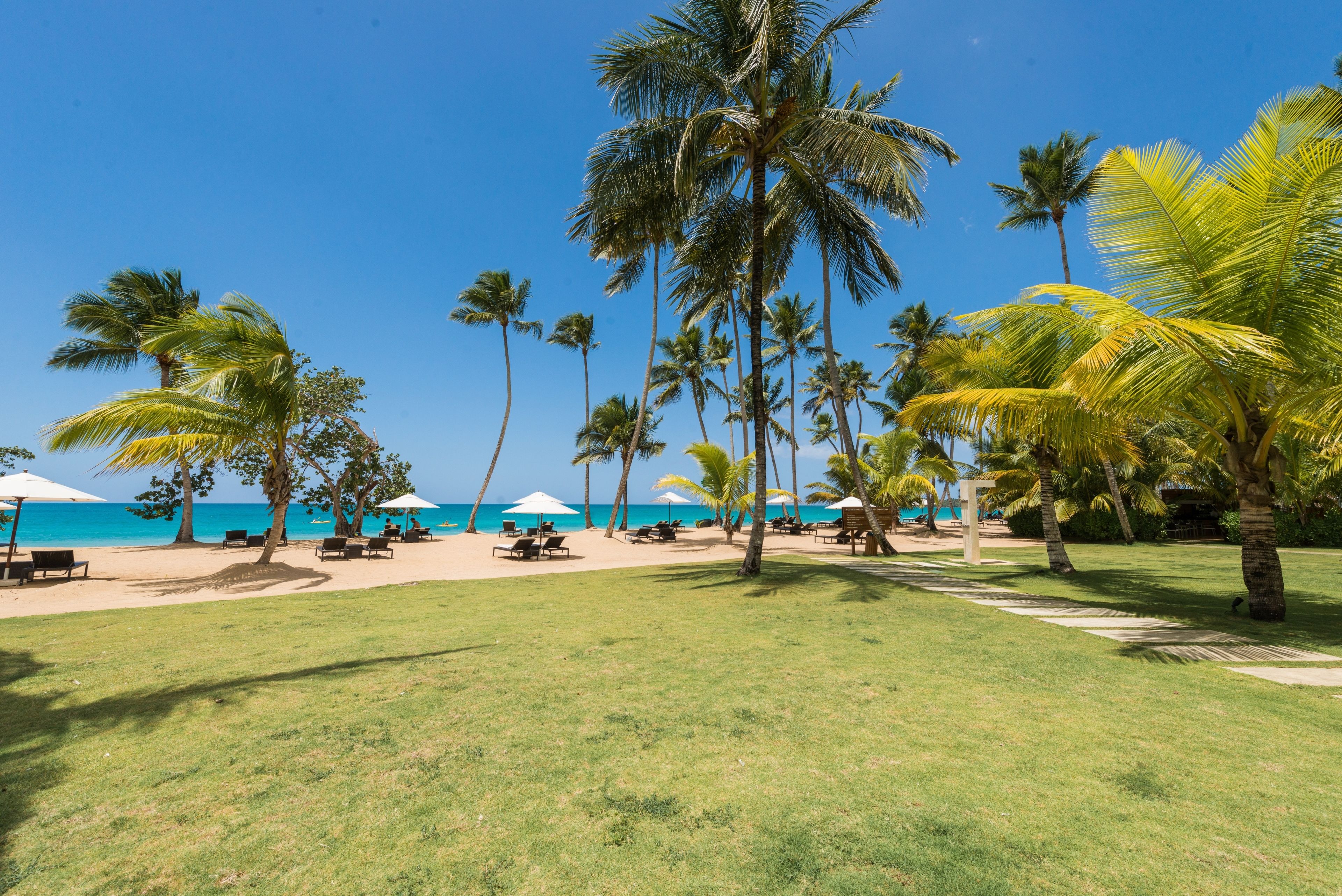 A beachside resort with palm trees, beach chairs, umbrellas, and a clear view of the ocean.