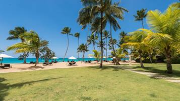 A beachside resort with palm trees, beach chairs, umbrellas, and a clear view of the ocean.
