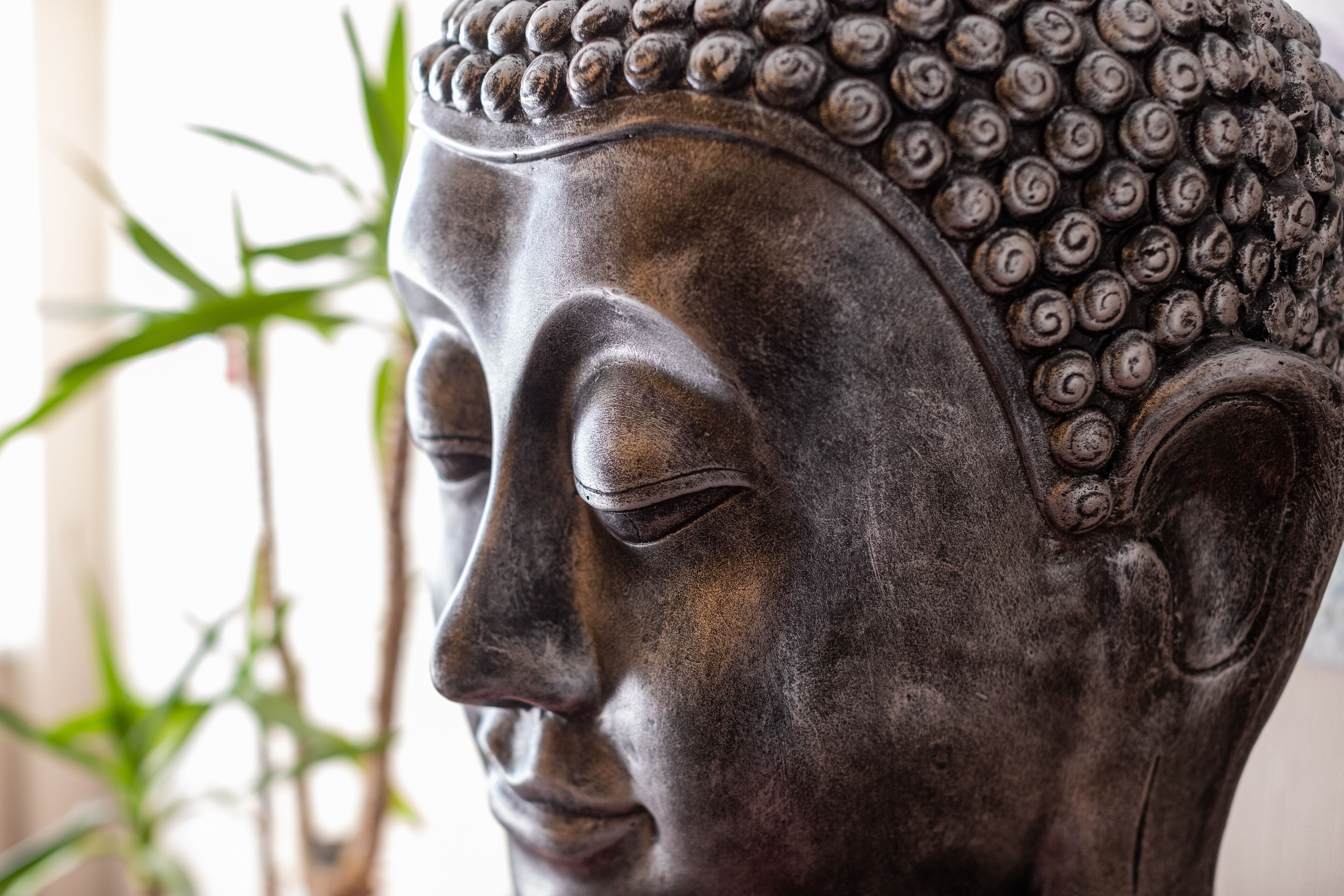 A close-up of a Buddha statue with a detailed head and a textured surface.
