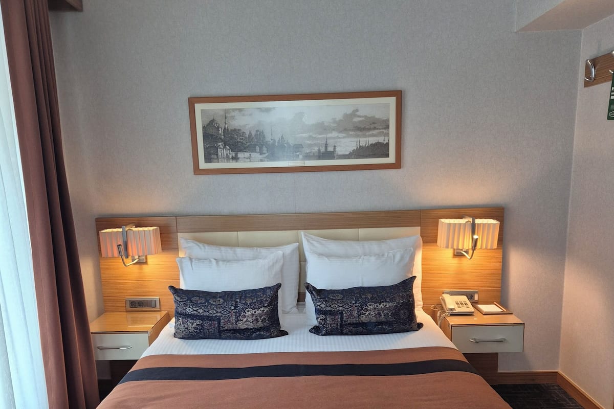 Standard Double Room | Egyptian cotton sheets, premium bedding, minibar, in-room safe