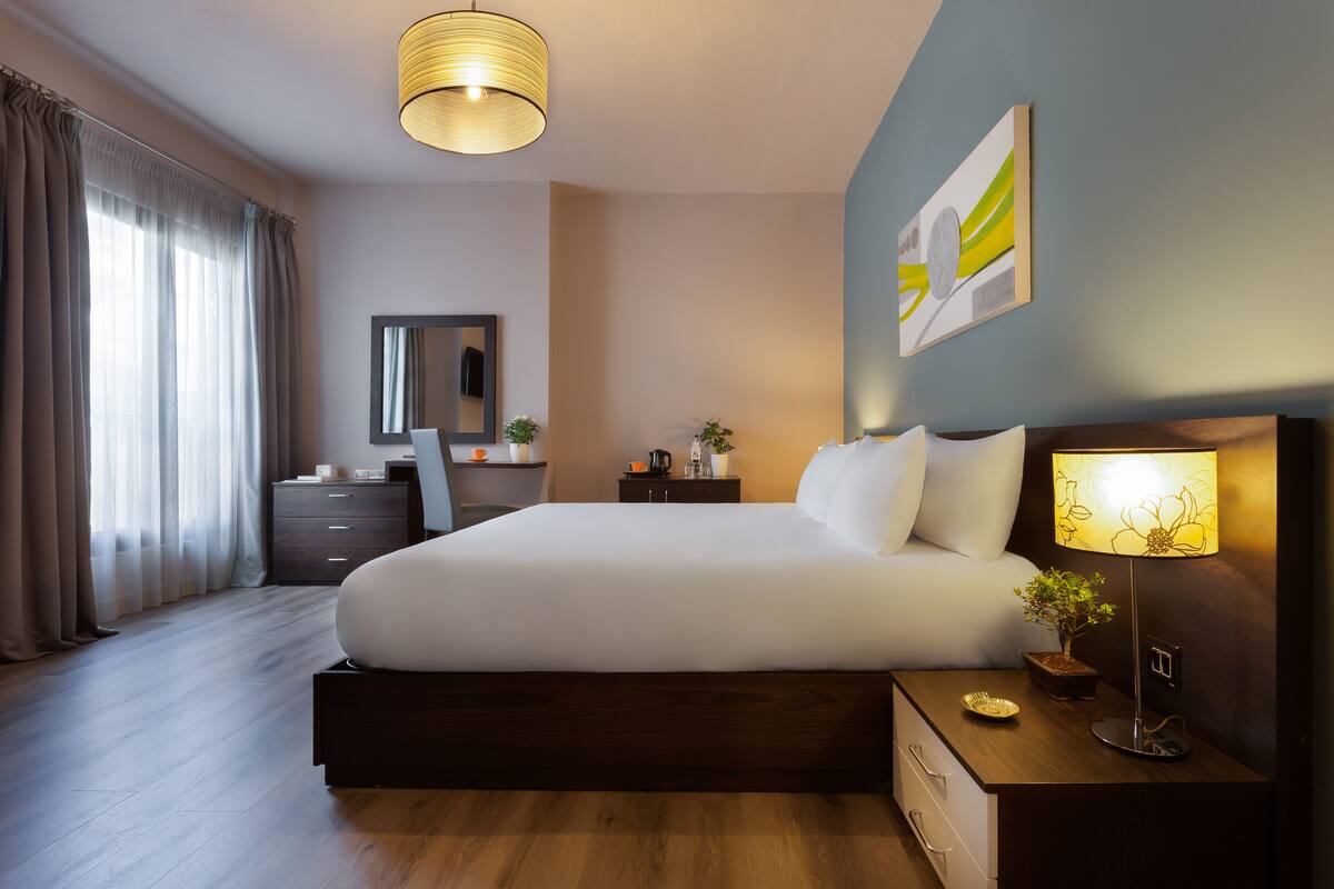 A modern hotel room with a large bed, bedside table, lamp, and a small potted plant.