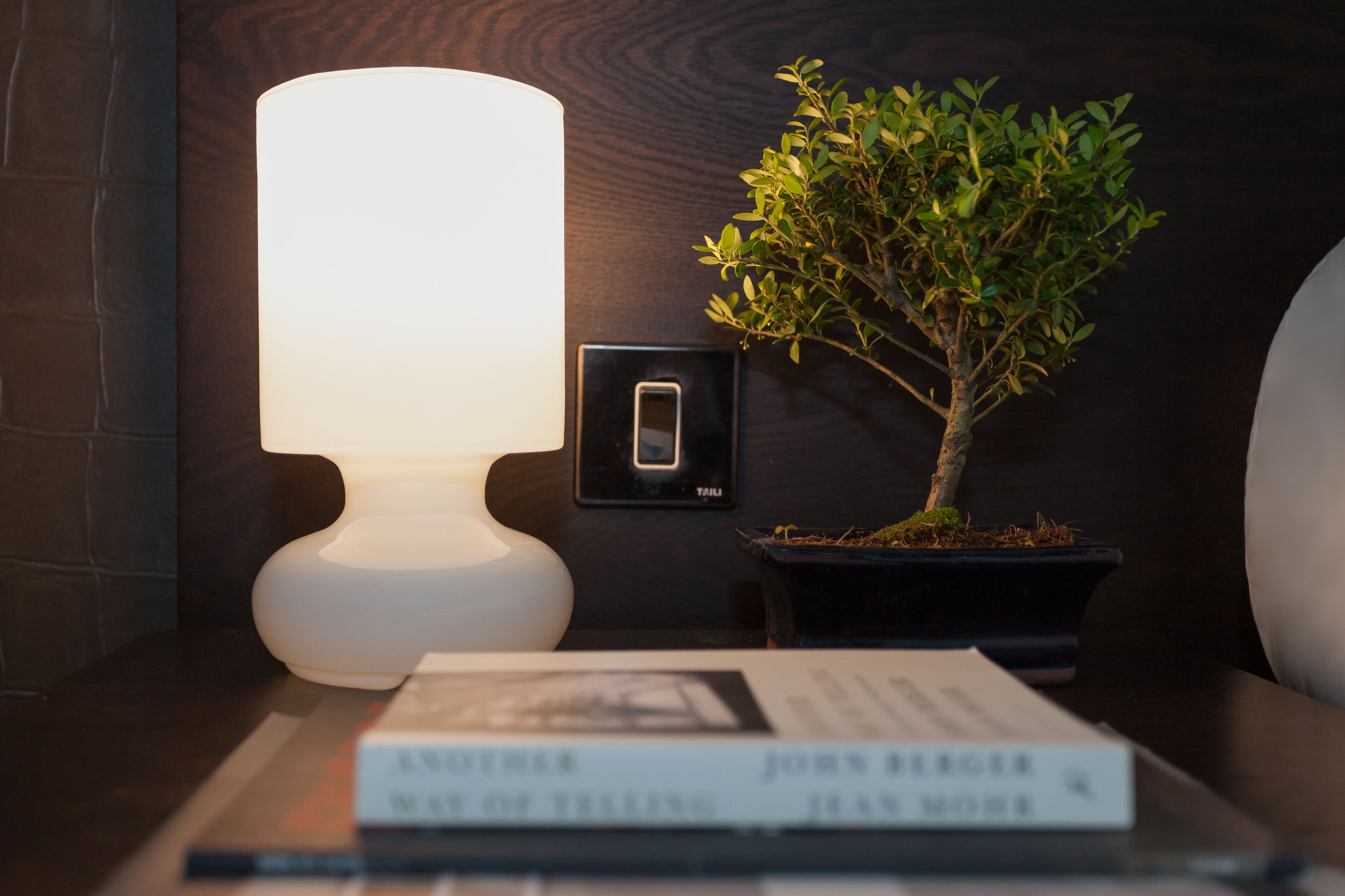 A bedside table with a lamp, a potted plant, and a book titled "Another Way of Telling" by Jean Moire.
