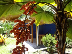 Quarto grand (Azul Grande) | Terraço/pátio