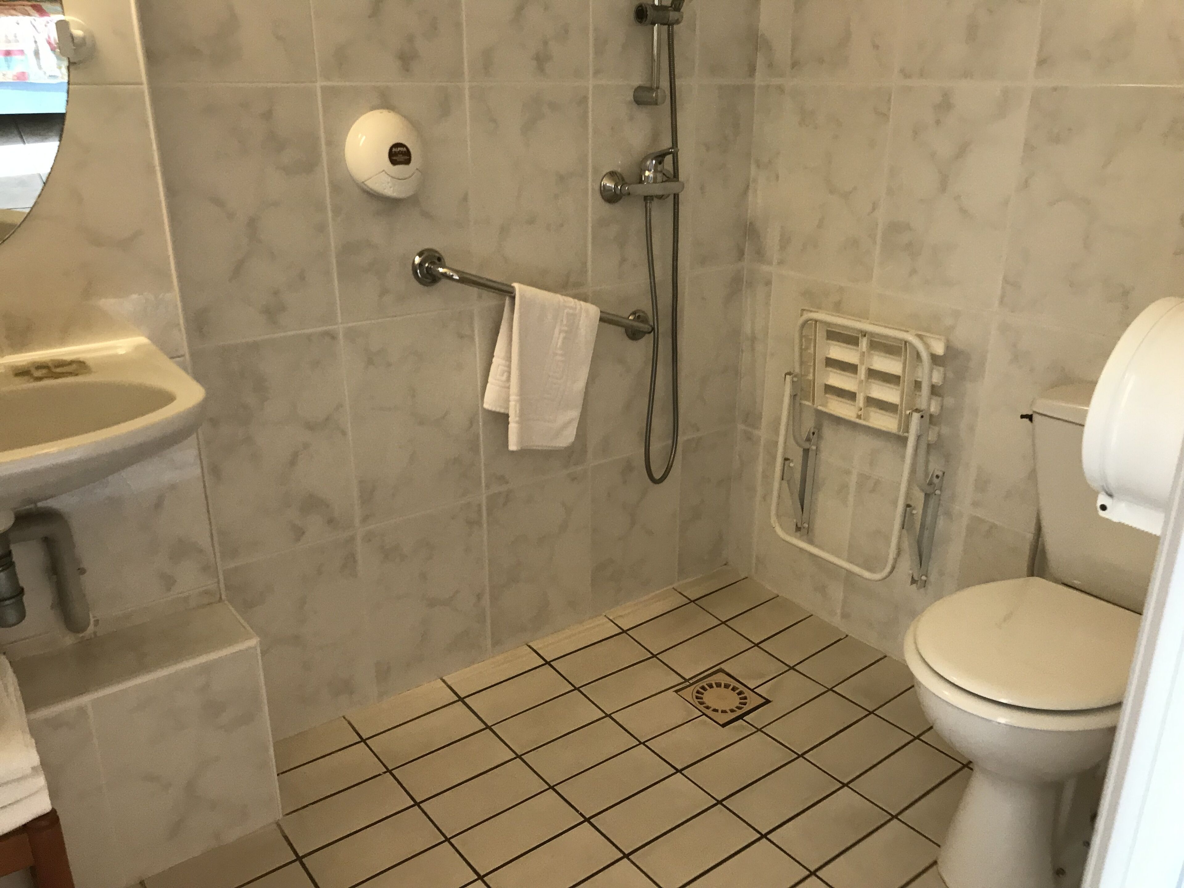 Une salle de bain avec un lavabo, des toilettes et une douche.