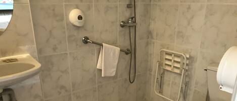 Une salle de bain avec un lavabo, des toilettes et une douche.