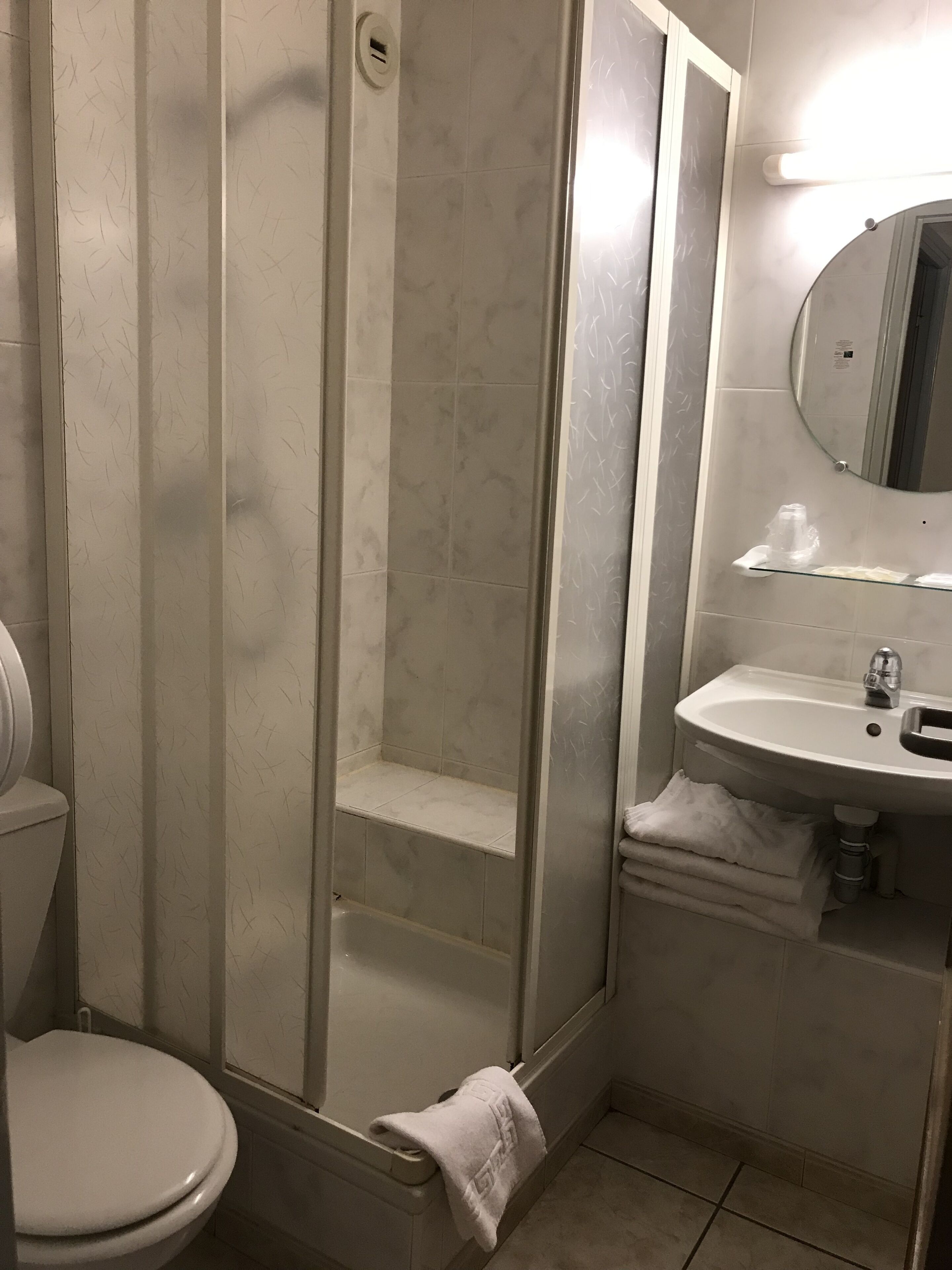 A bathroom with a toilet, a glass-enclosed shower, a sink, and a mirror.