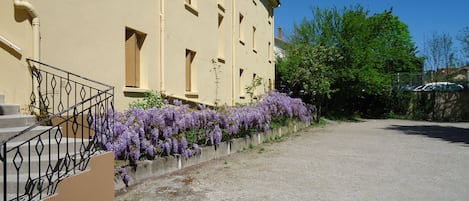 Free self-parking
