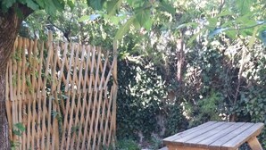 Una mesa de picnic de madera en un jardín con una valla de madera al fondo.