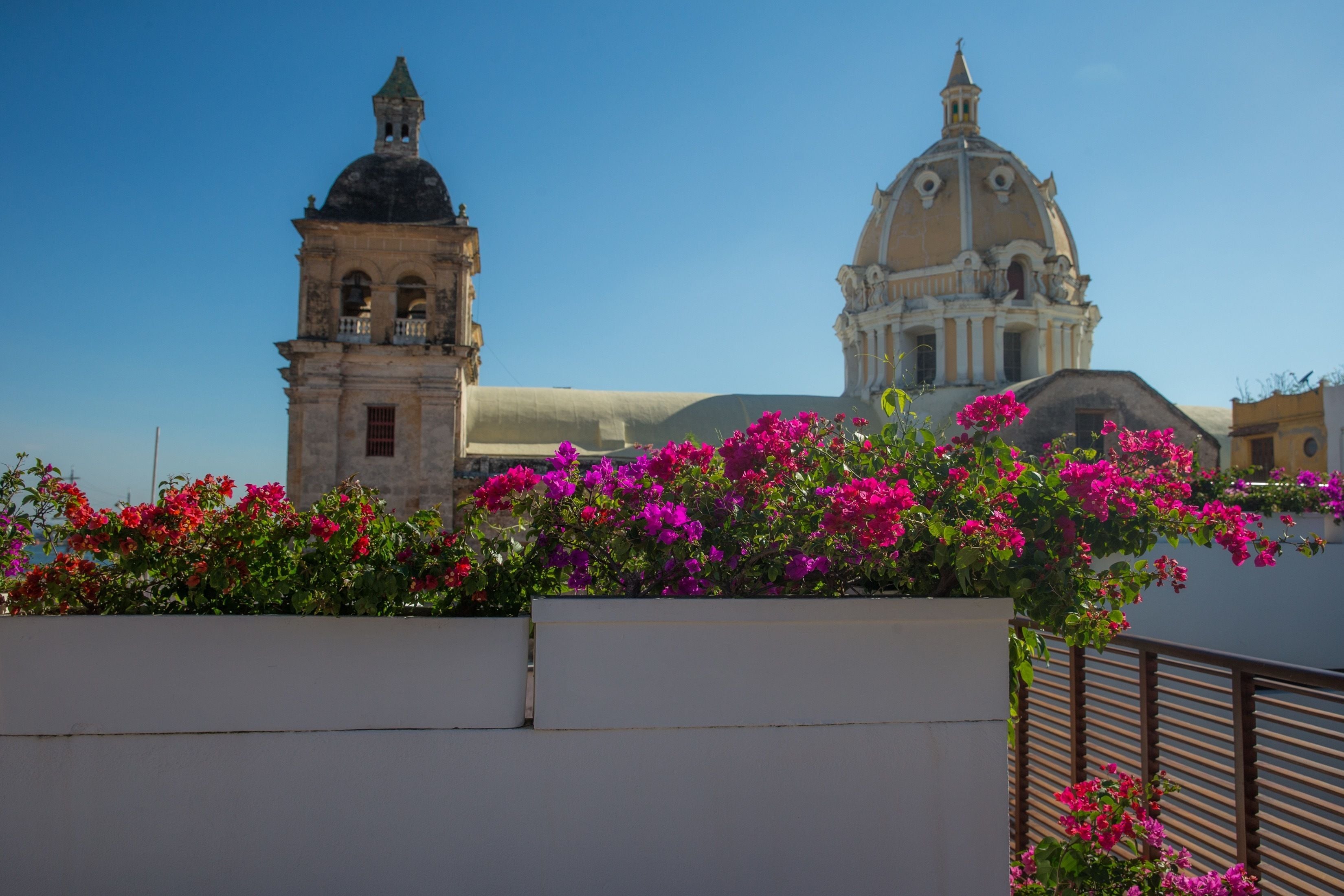Un edificio con una torre de campanas y una cúpula, rodeado de flores rosadas.