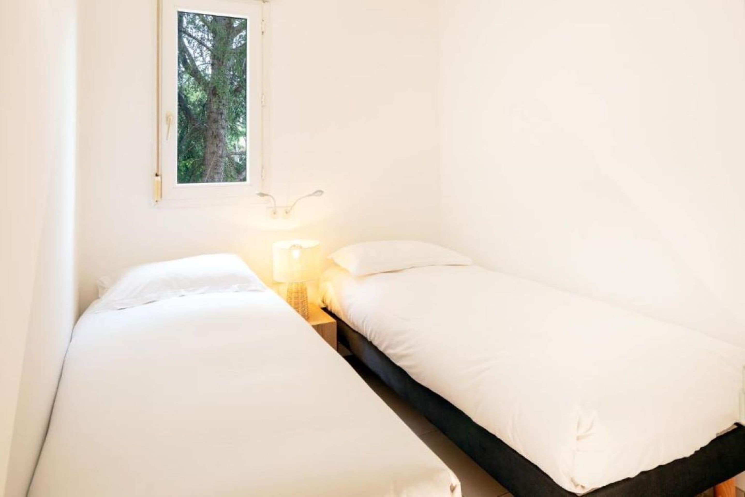 Una habitación pequeña con cama individual, ventana con vista a un árbol, mesita de noche con lámpara y un aplique de pared.