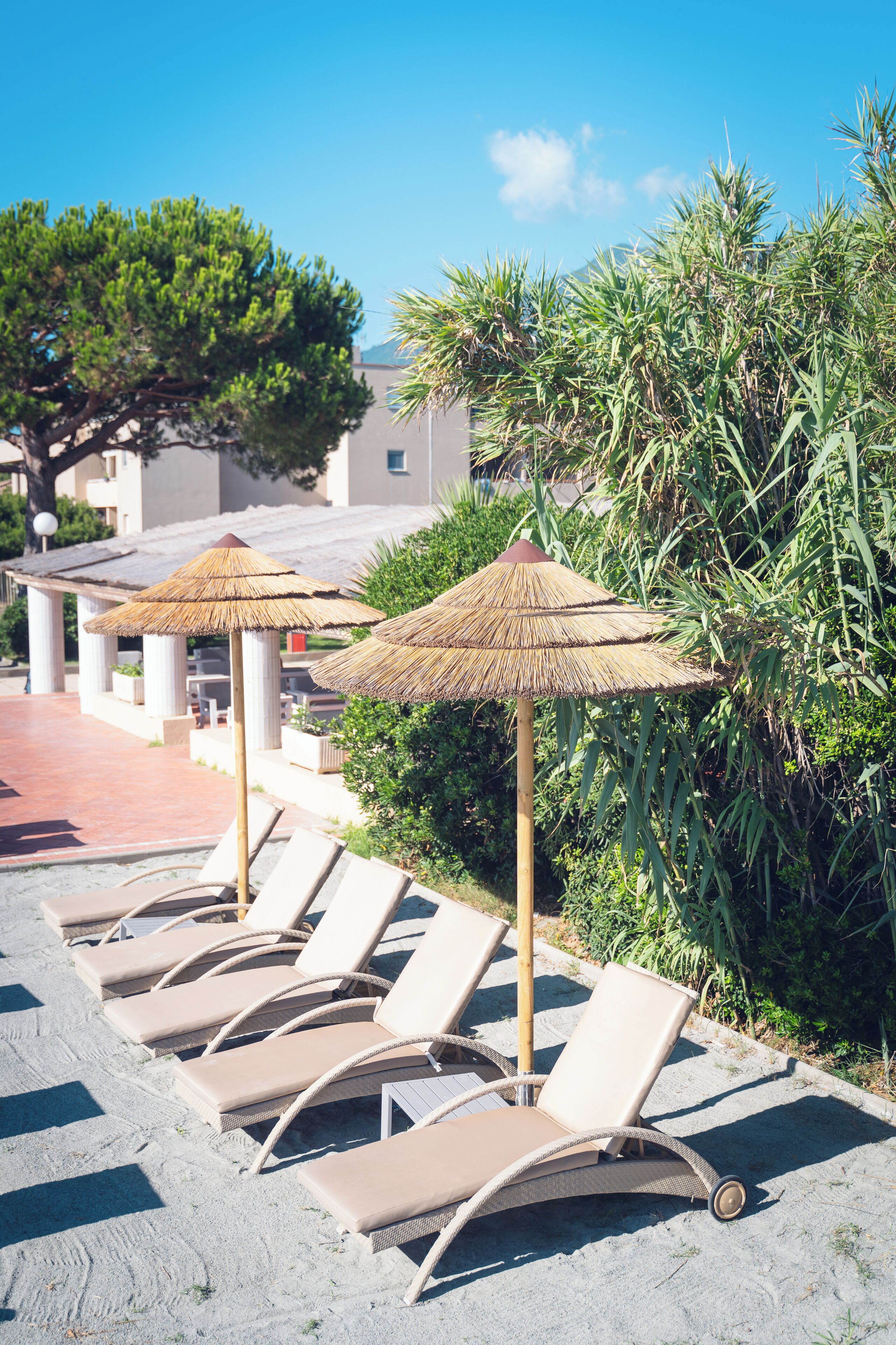 A row of sun loungers with thatched umbrellas, a paved walkway, and lush greenery in the background.