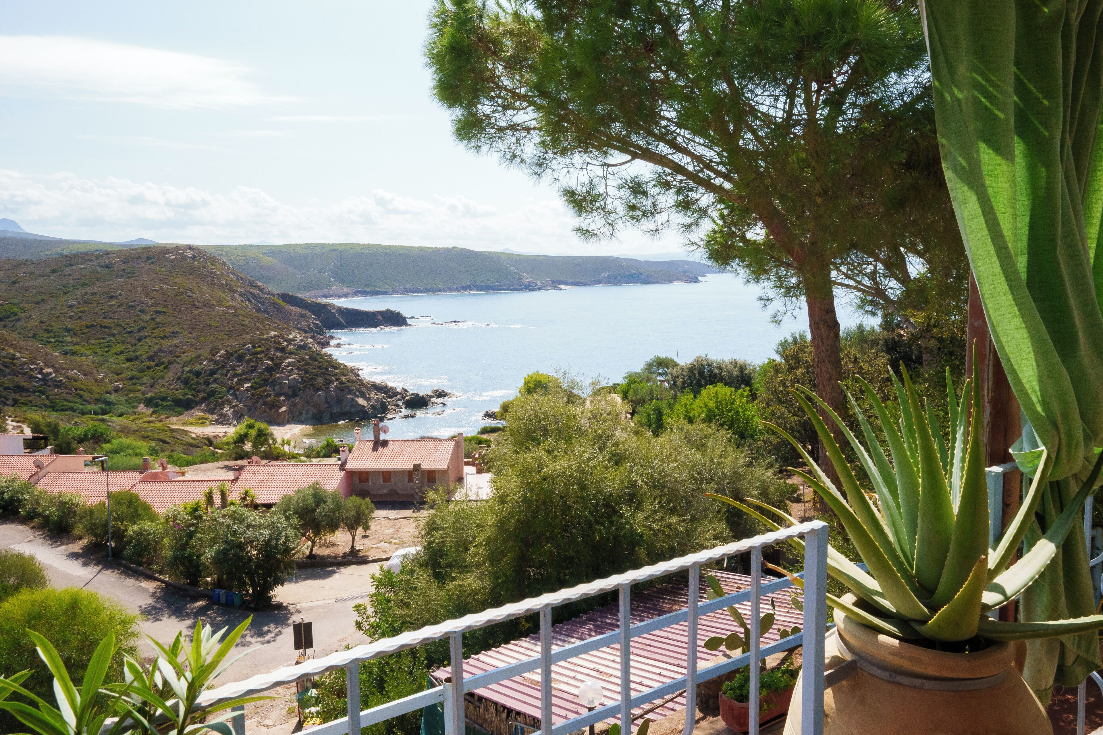 A coastal view with houses, a road, and a potted plant.