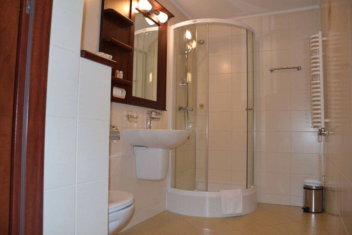 standard room | bathroom | shower, hair dryer, towels
