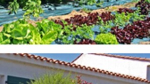 A pool area with two glasses of orange juice, a stone pathway, and a building with green shutters. - Domaine Le Martinet, The Originals Relais  (Bouin)