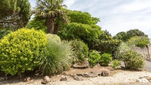 A garden with various types of plants and trees, including a palm tree and a large bush. - Domaine Le Martinet, The Originals Relais  (Bouin)