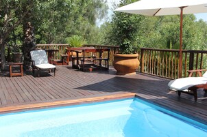 Seasonal outdoor pool, pool umbrellas, sun loungers