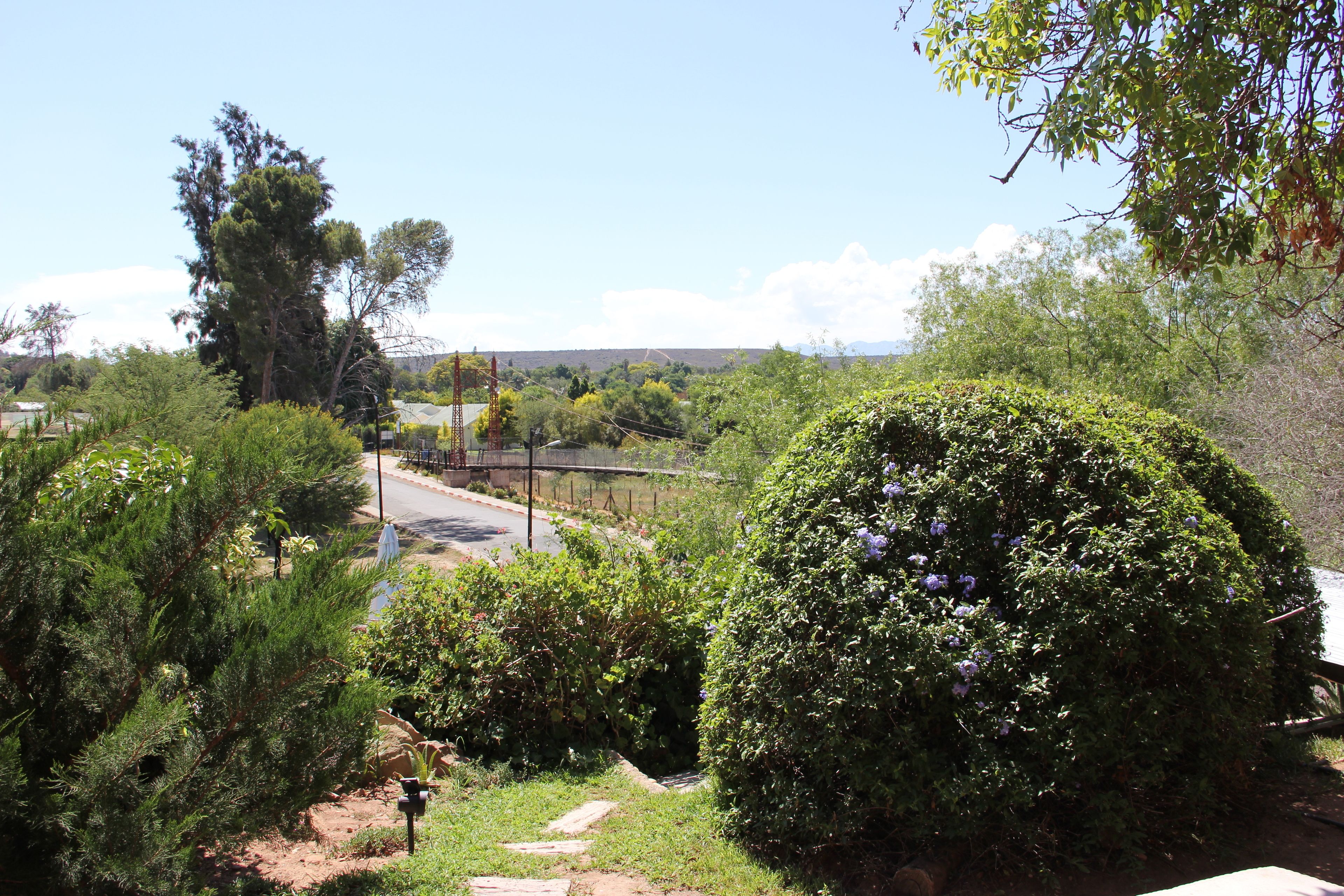 A garden with a pathway, a large tree, and a view of a road and distant landscape.