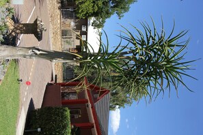 A building with a red and white facade, a stop sign, and a tree in the foreground. - Gumtree Guest House (Oudtshoorn)