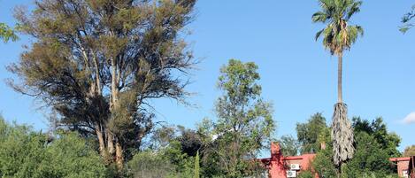 Área da propriedade