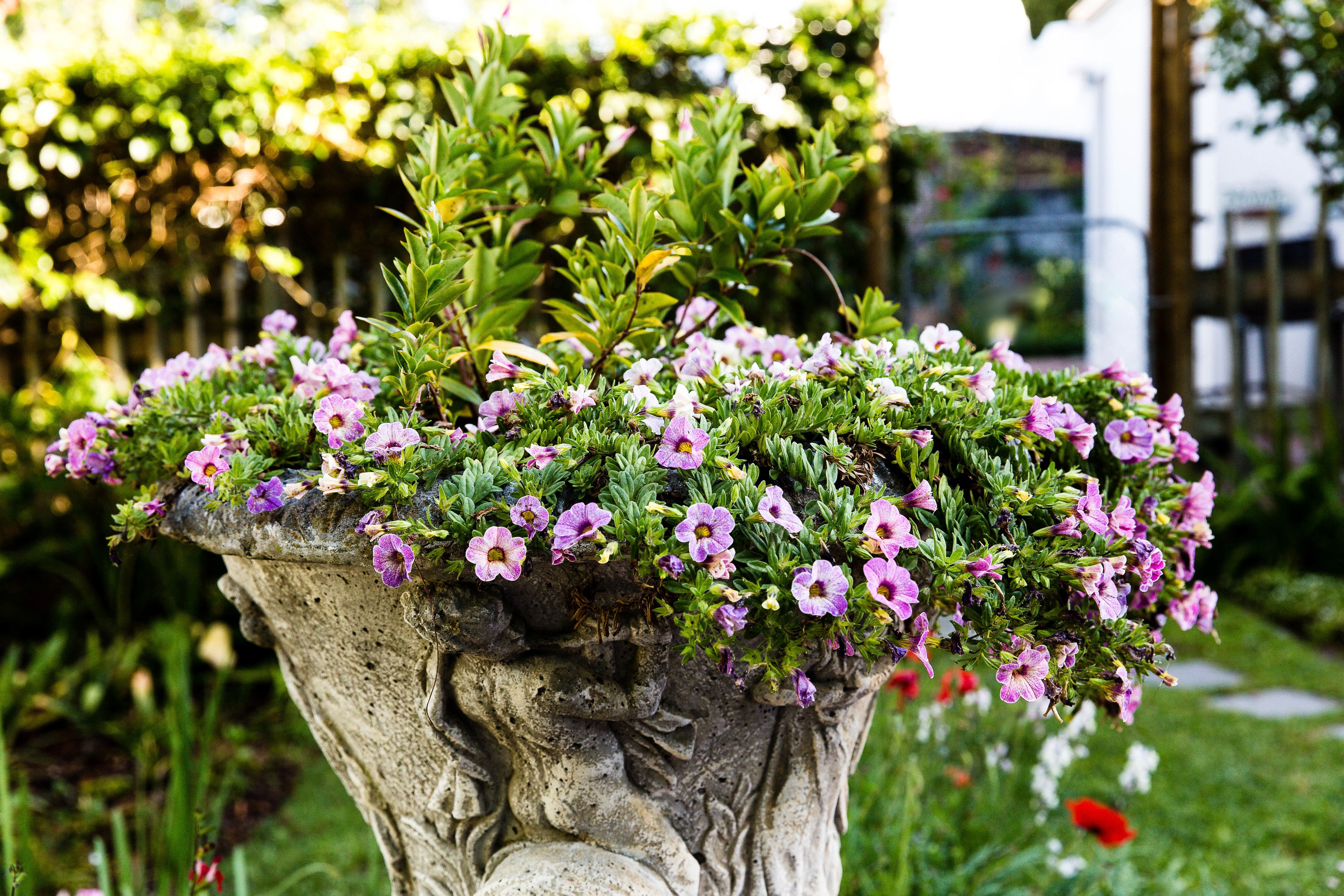 Photo - Penelope's Stellenbosch