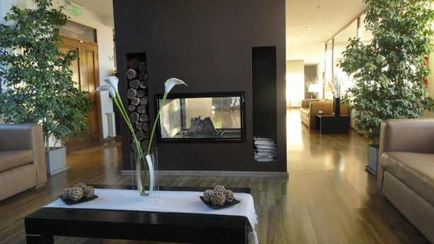 A modern living room with a fireplace, a coffee table with decorative items, and large potted plants. - View Hotel BRC (San Carlos de Bariloche)