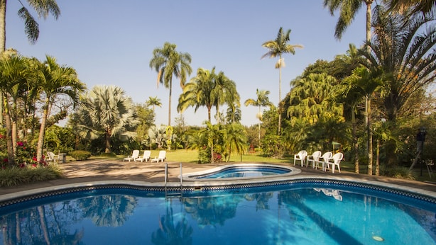 A swimming pool surrounded by palm trees and white lounge chairs. - Hotel Posada Loma (Fortin de las Flores)