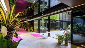 A modern indoor space with potted plants, a pink carpet, and a glass wall offering a view of greenery outside.