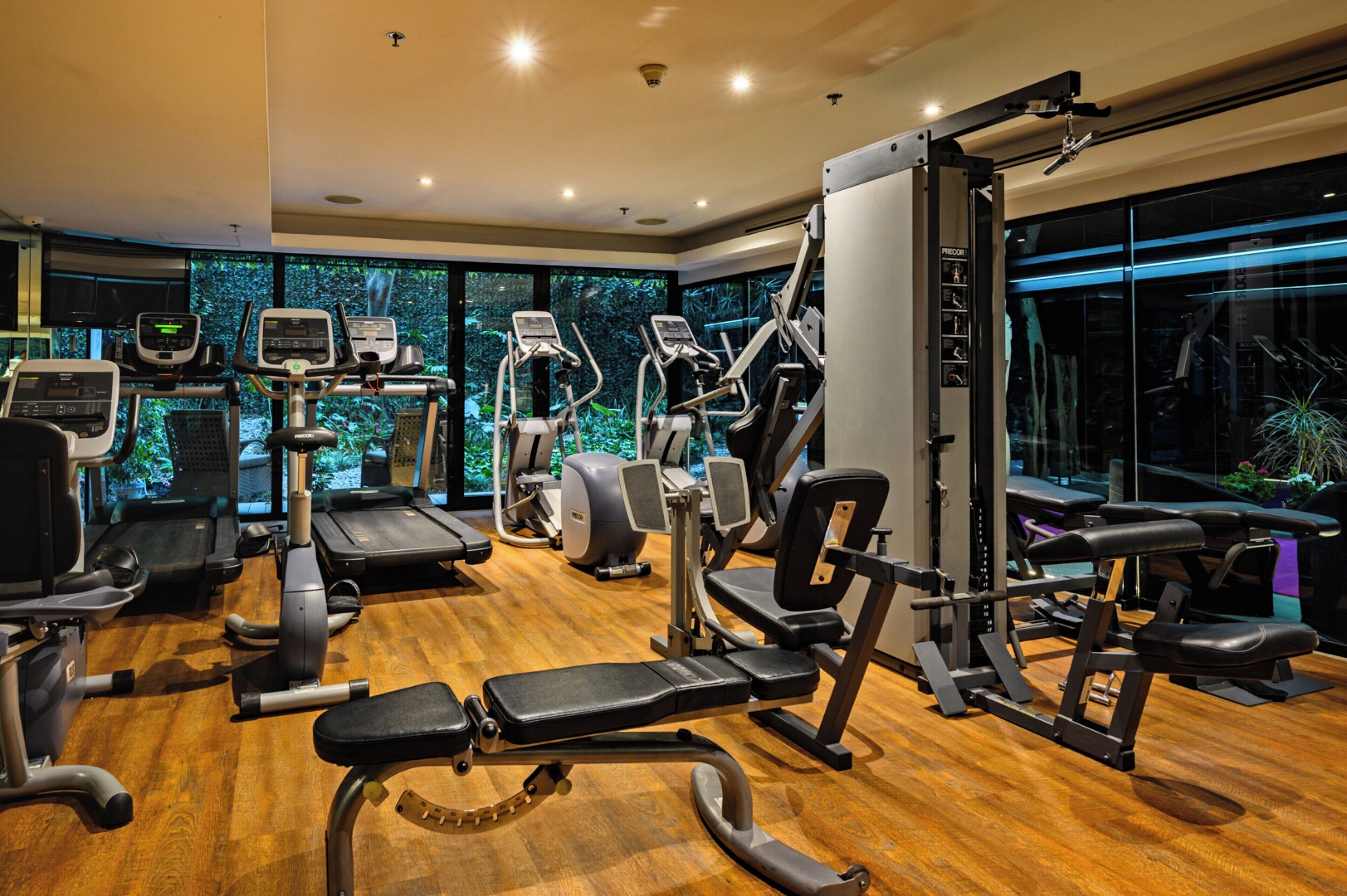 A modern gym with various exercise equipment, large windows, and a view of greenery outside.